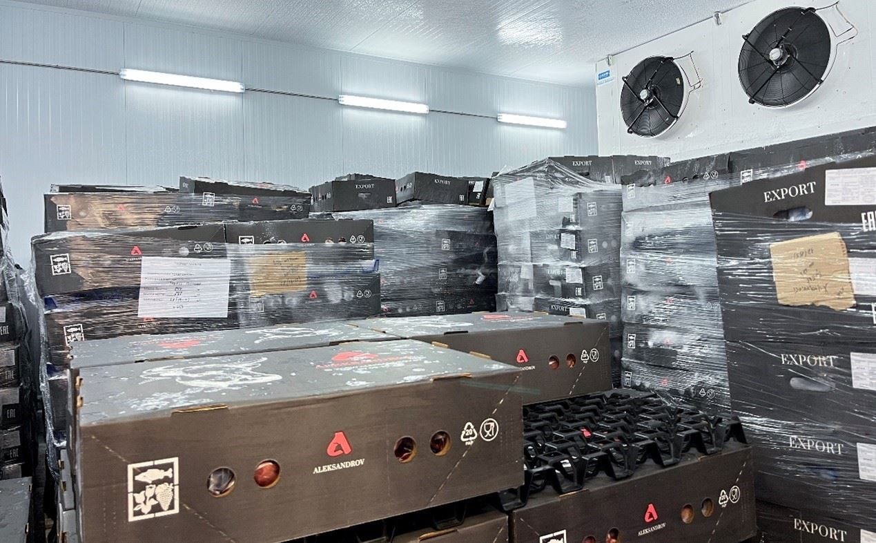 恒溫冷庫(kù)中，包裝好的牛肉等待發(fā)往中國(guó)。人民網(wǎng)記者 朱虹攝