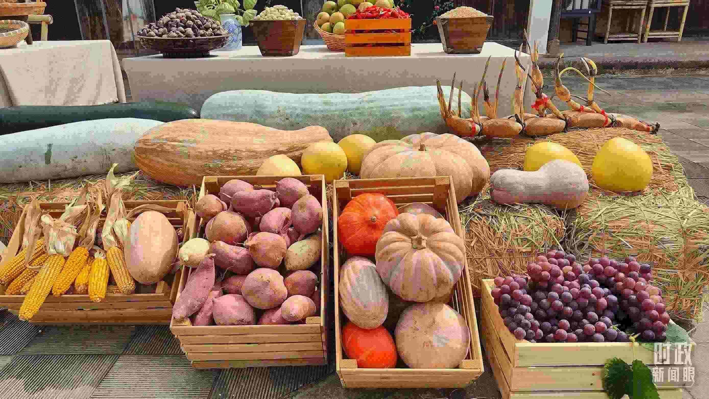 △村廣場“共富市集”，擺放著種類豐富的特色農(nóng)產(chǎn)品。（總臺央視記者楊立峰拍攝）