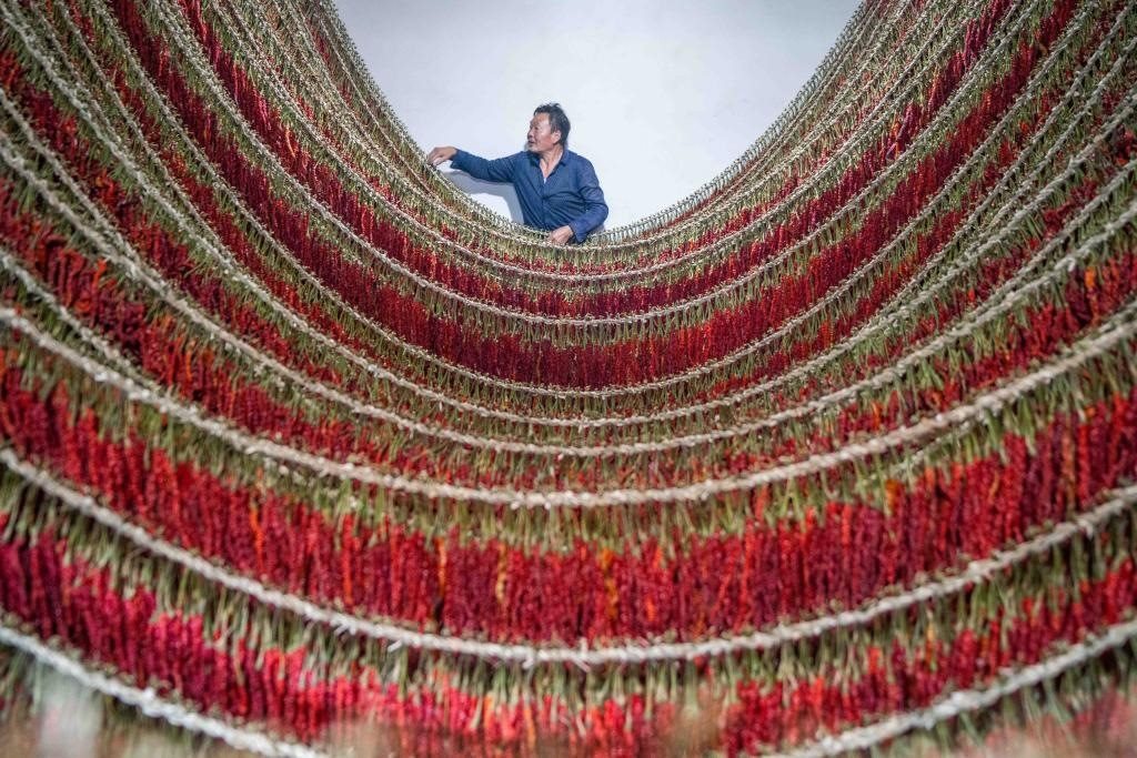 在貴州省畢節(jié)市大方縣理化鄉(xiāng)金雞村，村民查看辣椒烘干情況。新華社發(fā) 羅大富攝