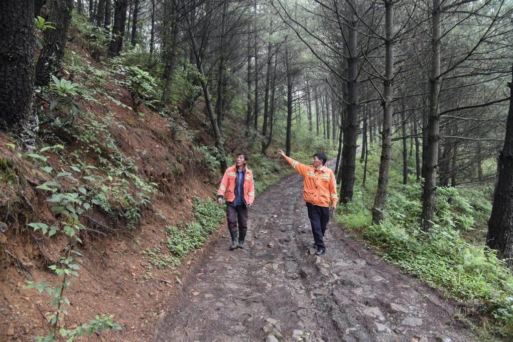 海雀村生態(tài)護林員馬正安（左）和海雀村林管員王光德（右）在日常巡山護林。新華社記者 李凡 攝