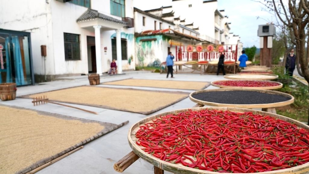 近日拍攝的江西省上饒市婺源縣秋口鎮(zhèn)王村石門自然村。新華社記者 胡晨歡 攝