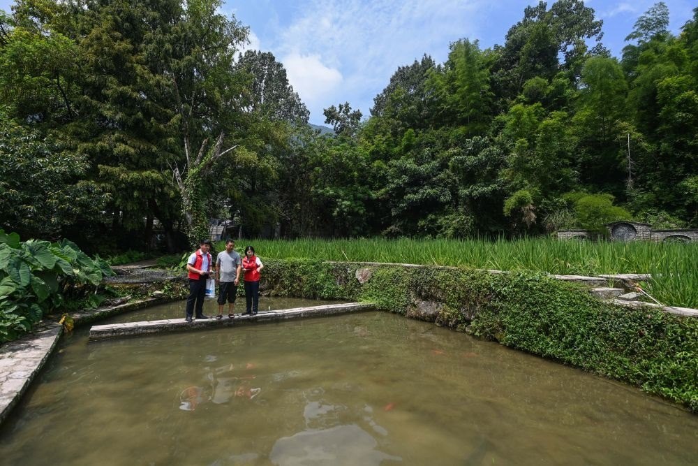 2023年8月17日，浙江省麗水市青田縣方山鄉(xiāng)田魚養(yǎng)殖戶吳勇強（中）在接受青田農商銀行“小蜻蜓”服務隊志愿者提供的“惠民易貸”上門服務。近年來，青田縣金融發(fā)展中心聯(lián)合各個金融機構優(yōu)化配套鄉(xiāng)村振興金融服務，推出“惠民易貸”“農家樂貸”等金融產品，重點支持涉農龍頭企業(yè)及特色種養(yǎng)殖產業(yè)。新華社記者 徐昱 攝