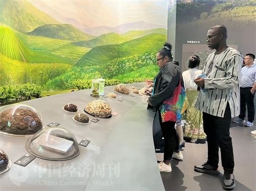  （在中國藥都中醫(yī)藥博物館，外媒記者了解中醫(yī)藥發(fā)展史。中國經(jīng)濟(jì)周刊記者 郭志強(qiáng) 攝）