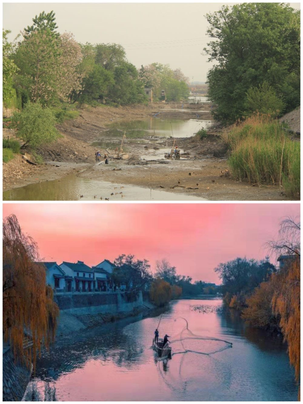 江蘇省揚州市江都區(qū)明清運河故道整治前后。（上圖：2012年；下圖：2020年）（孫友定 攝）