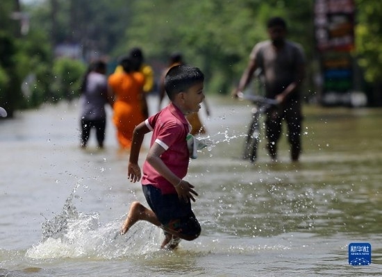 11月24日，一名男孩在斯里蘭卡加姆珀哈涉水出行。新華社發(fā)（阿吉特·佩雷拉攝）