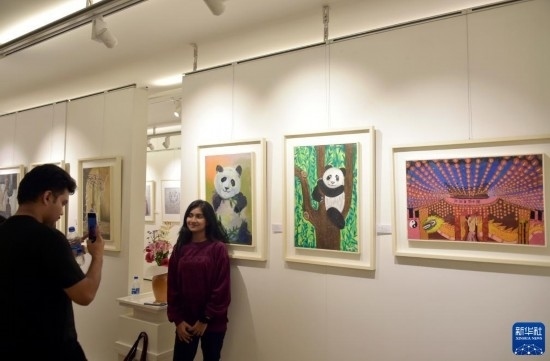 11月22日，在孟加拉國達卡，人們在“國家印象”繪畫展上參觀拍照。新華社發(fā)（薩利姆攝）