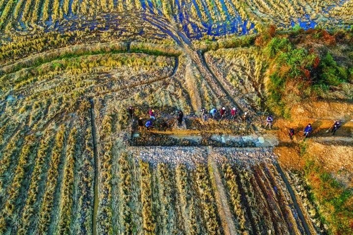 良渚遺址考古發(fā)掘現(xiàn)場(chǎng)。