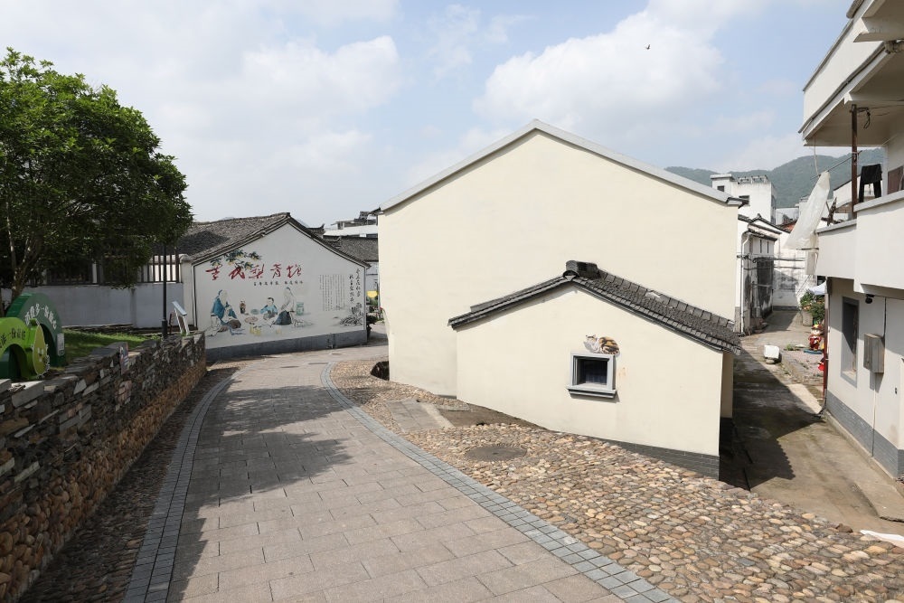 浙江省義烏市李祖村一景（2023年5月23日攝）。新華社記者 杜瀟逸 攝