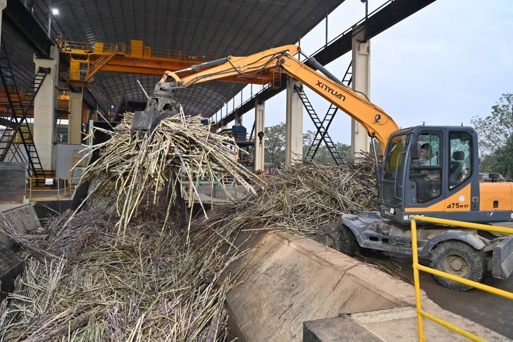 12月14日，在廣西來(lái)賓東糖鳳凰有限公司，員工操作機(jī)械將甘蔗投入傳送帶，準(zhǔn)備送往壓榨車間。