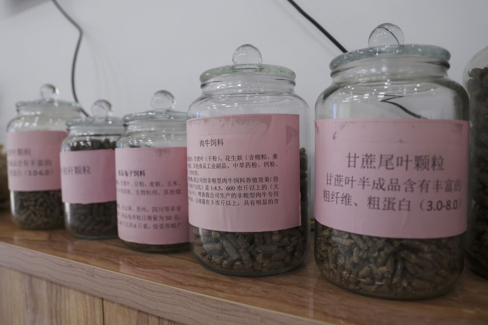 這是12月13日在來(lái)賓市興賓區(qū)小平陽(yáng)鎮(zhèn)一家飼料廠拍攝的以甘蔗尾葉為原料制成的飼料。