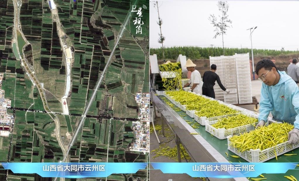 當(dāng)前，大同市開發(fā)黃花菜品、食品、飲品、功能食品、化妝品、文創(chuàng)產(chǎn)品六大系列130余種，全產(chǎn)業(yè)鏈產(chǎn)值超40億元。