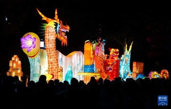 2月11日晚，人們在濟南市趵突泉公園觀賞花燈。