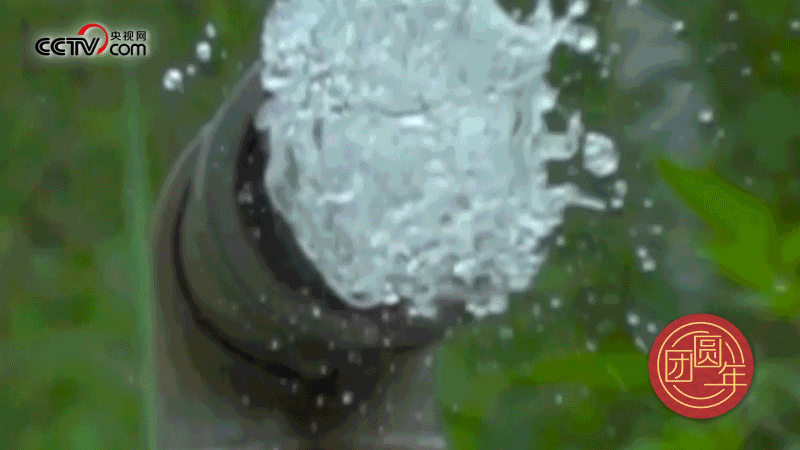 △截至2020年，我國(guó)貧困人口飲水安全問(wèn)題得到全面解決，群眾的獲得感、幸福感顯著提升。