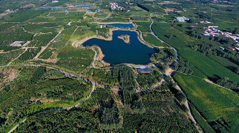 這是2022年9月6日拍攝的雄安新區(qū)“千年秀林”。