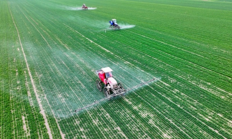 2024年2月18日，安徽省亳州市，利辛縣紀(jì)王場鄉(xiāng)孫老家村麥田，農(nóng)民駕駛自走式高桿噴霧機(jī)對小麥進(jìn)行噴藥作業(yè)。