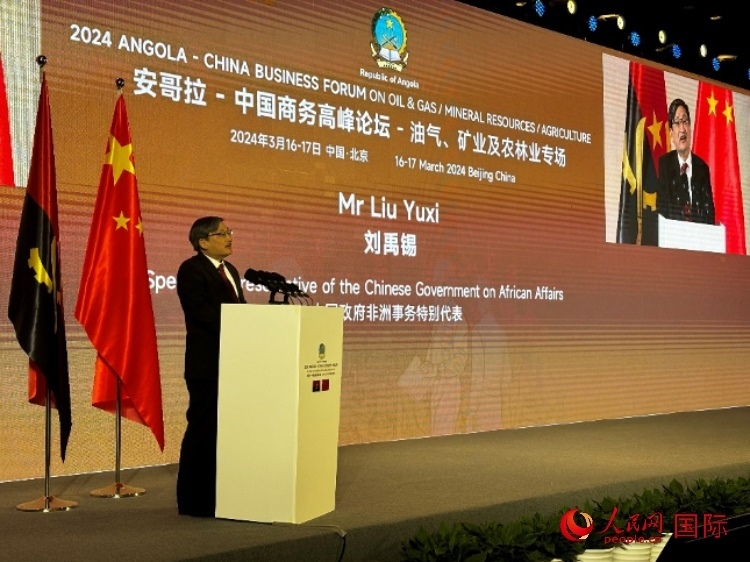 中國政府非洲事務(wù)特別代表劉禹錫。人民網(wǎng)記者 張榮攝