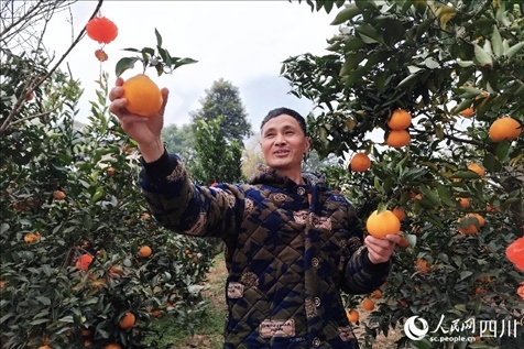 鐵牛村村民趙光進(jìn)。人民網(wǎng)記者 朱虹攝