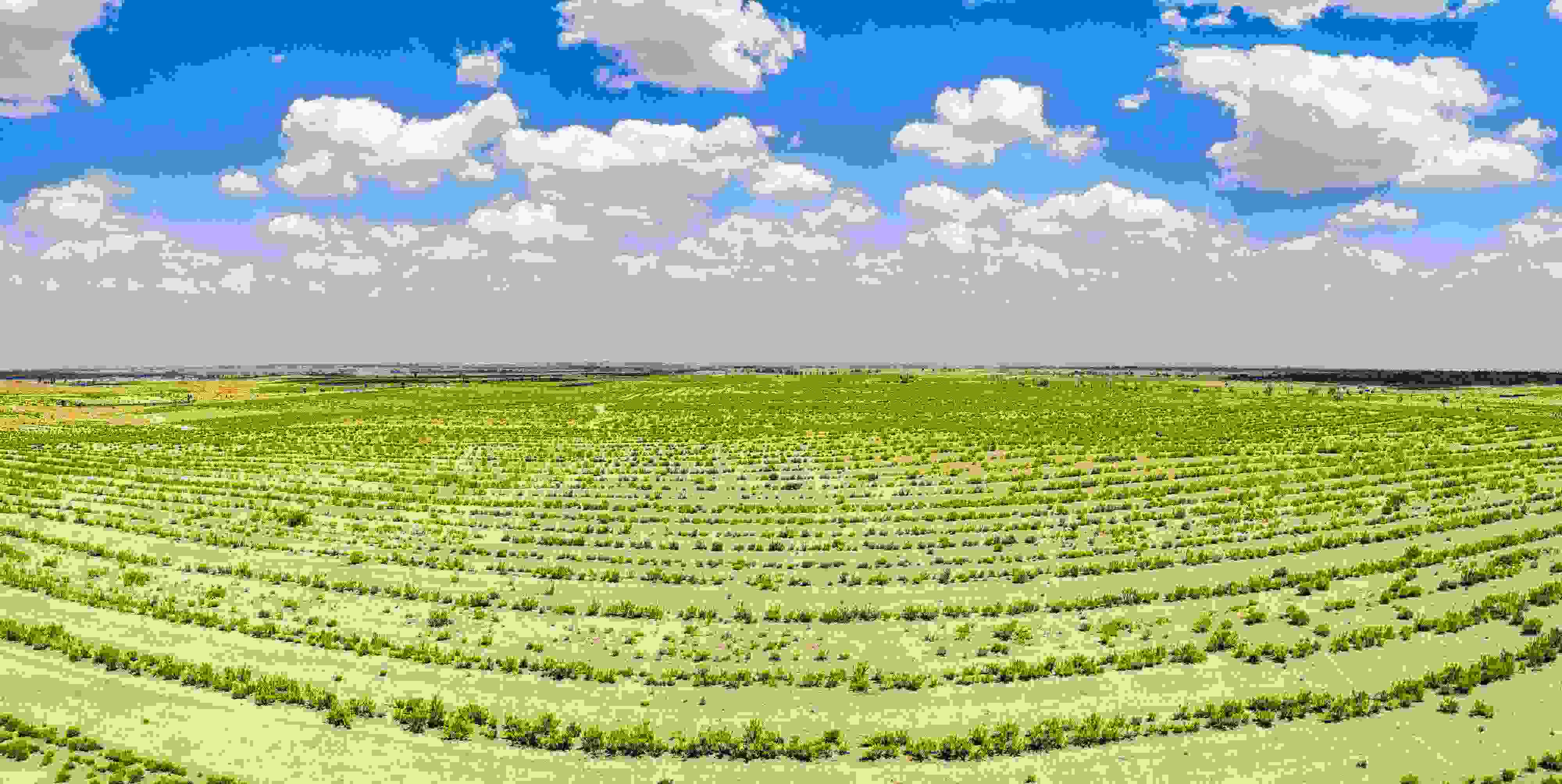 2023年6月7日，內蒙古鄂爾多斯，毛烏素沙漠。