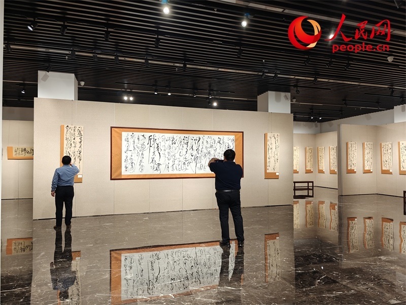 觀眾正在參觀展覽。人民網(wǎng)記者 韋衍行攝