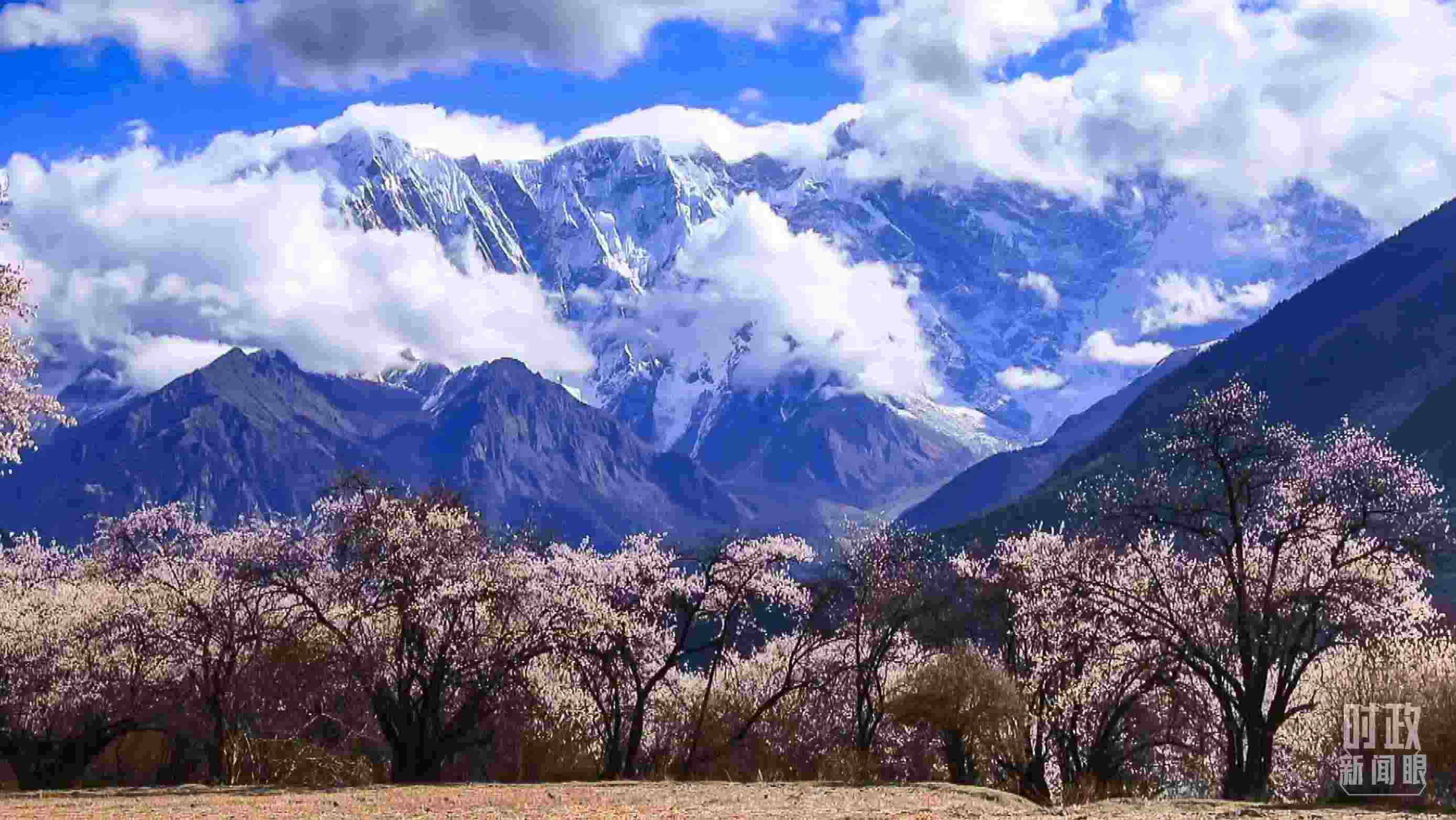 △西藏林芝。（總臺記者李旭拍攝）