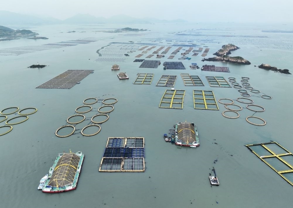 在福建連江定海灣海域，坐落著“定海灣1號”“定海灣2號”等深遠海養(yǎng)殖平臺（2024年5月7日攝，無人機照片）。新華社記者 林善傳 攝