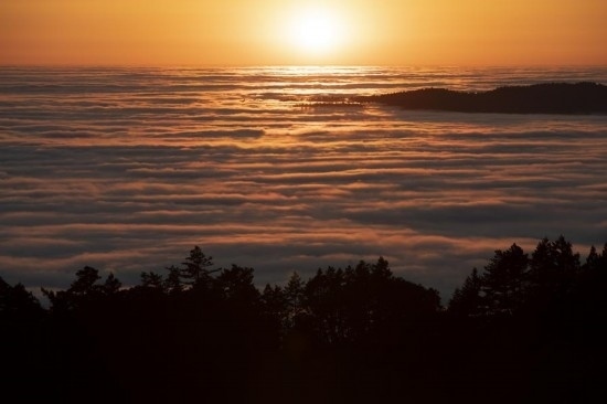 這是5月14日在美國加利福尼亞州馬林縣拍攝的云海。新華社發(fā)（李建國攝）