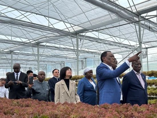 使節(jié)團考察貴州省清鎮(zhèn)駱家橋蔬菜保供基地的無土栽培溫室。新華社記者 袁睿 攝