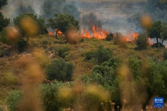 6月12日，以色列北部加利利地區(qū)遭受火箭彈襲擊后冒出滾滾濃煙。新華社發(fā)（阿亞爾·馬戈林?jǐn)z/基尼圖片社）