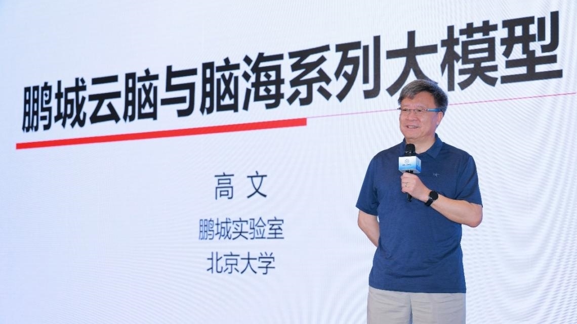 高文院士做大會特邀報告。主辦方供圖