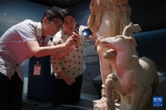 7月2日，安徽博物院工作人員在拍攝開箱后的古希臘文物。新華社記者 張端 攝