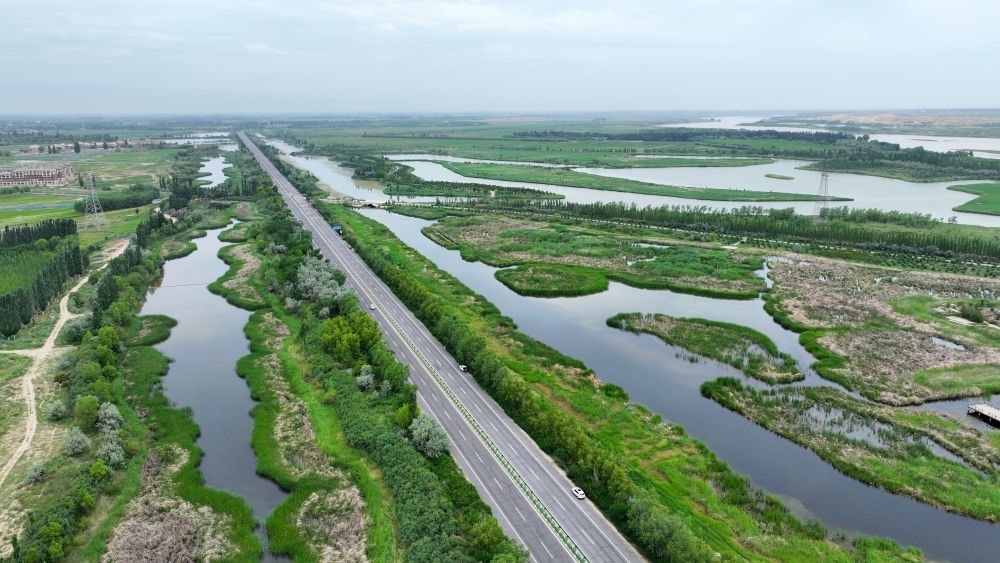 這是2024年6月13日拍攝的黃河寧夏段濱河大道（無人機(jī)照片）。近年來，寧夏努力建設(shè)黃河流域生態(tài)保護(hù)和高質(zhì)量發(fā)展先行區(qū)，全力打好黃河保護(hù)持久戰(zhàn)。新華社記者 王鵬 攝
