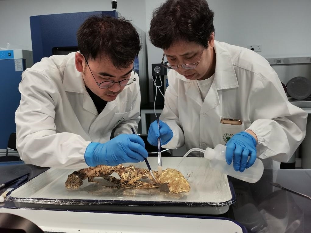 2023年7月，馬燕如（右）帶著魯海子（左）修復(fù)三星堆遺址出土的黃金面具。新華社發(fā)（四川省文物考古研究院供圖）