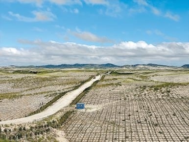 剛剛竣工的其白線穿沙公路。