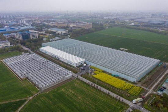 2024年3月28日，空中俯瞰嘉興南湖區(qū)湘家蕩農(nóng)業(yè)數(shù)字化工廠（無(wú)人機(jī)照片）。該農(nóng)業(yè)數(shù)字化工廠占地總面積約62畝，包含智慧農(nóng)業(yè)生產(chǎn)、物聯(lián)網(wǎng)智能管理、自動(dòng)分揀包裝、保鮮儲(chǔ)藏物流、高科技示范展示等五大功能區(qū)，可直接或間接培養(yǎng)帶動(dòng)新型職業(yè)技術(shù)農(nóng)民500人以上。新華社記者 徐昱 攝