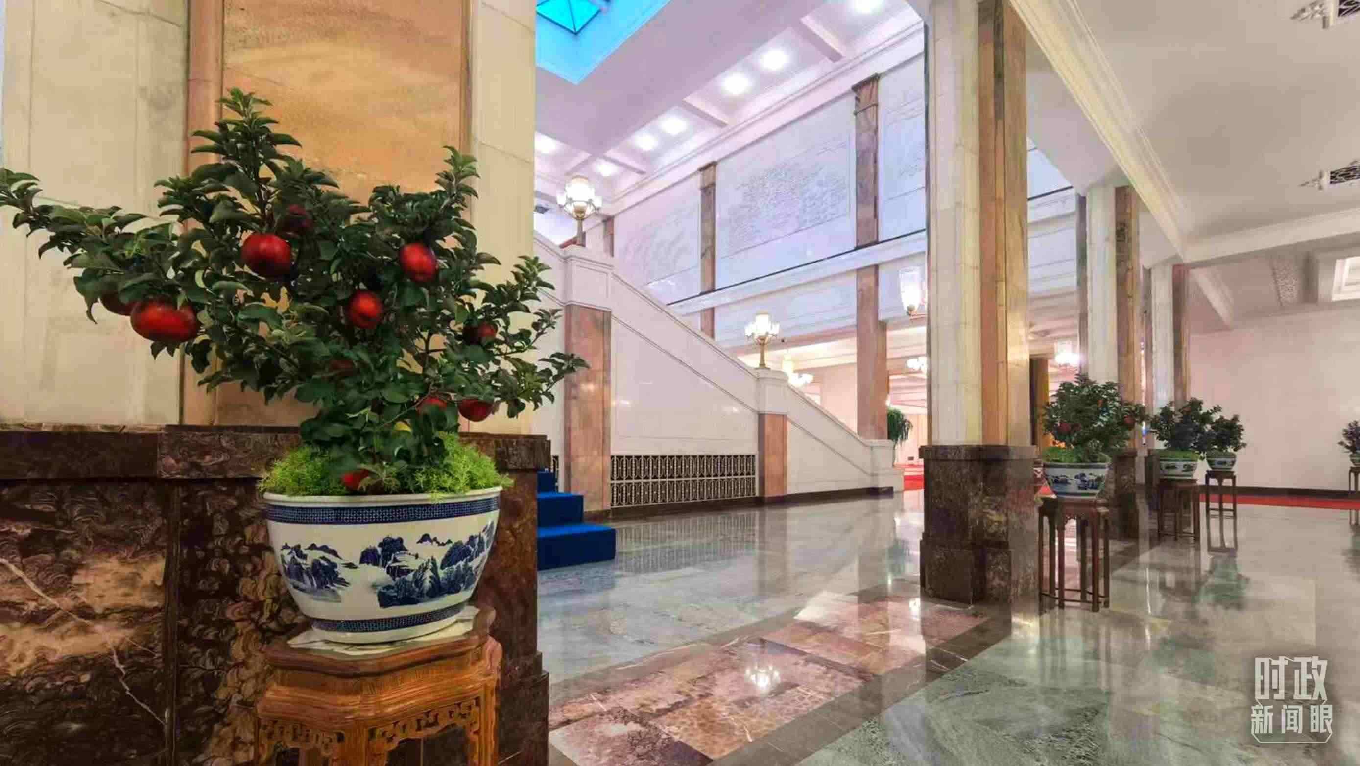  △大會堂內(nèi)的“碩果累累”盆栽。（總臺國廣記者吳倩拍攝）
