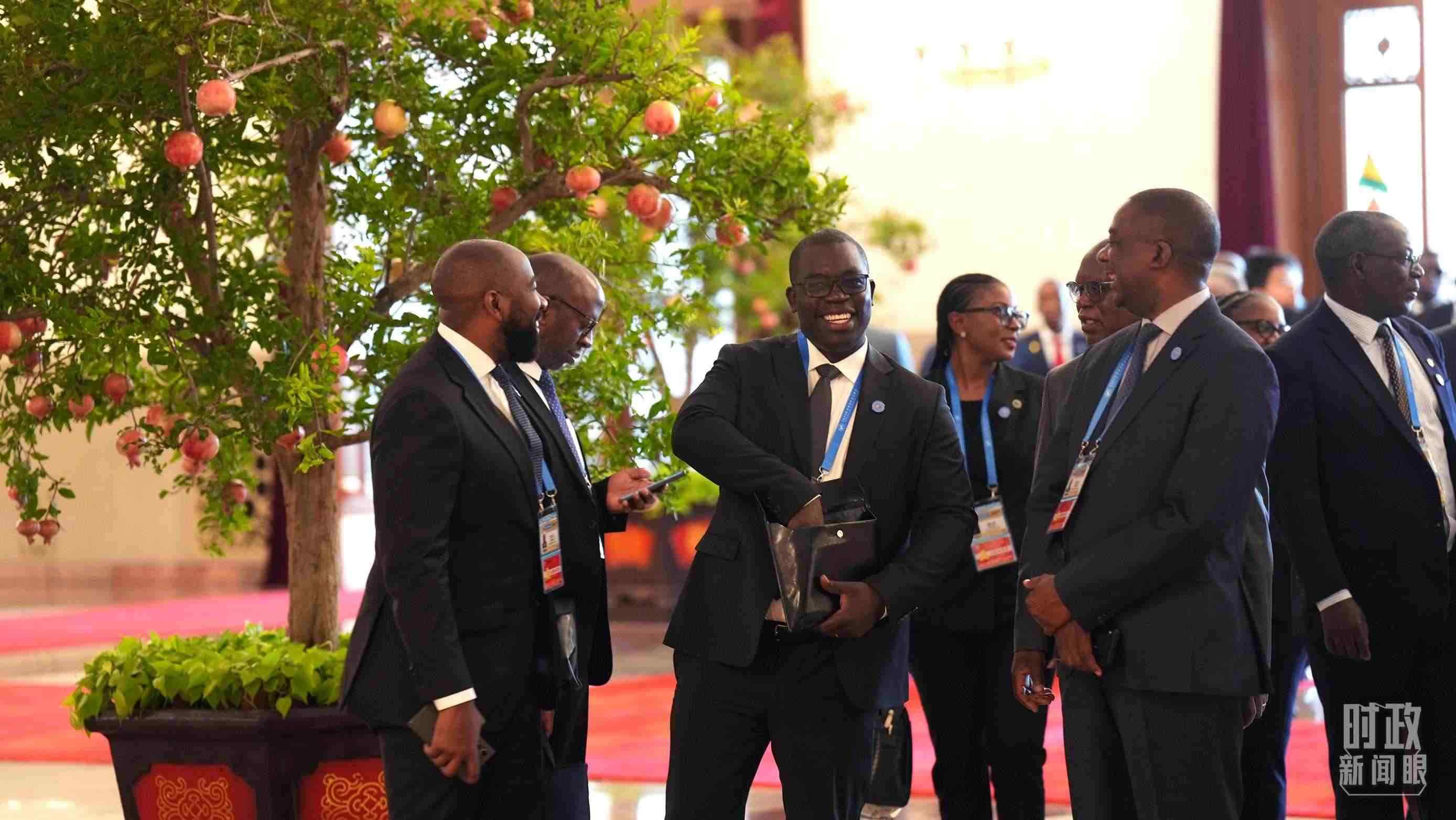 出席中非合作論壇北京峰會(huì)的非洲國家代表。（總臺(tái)記者李晉拍攝）