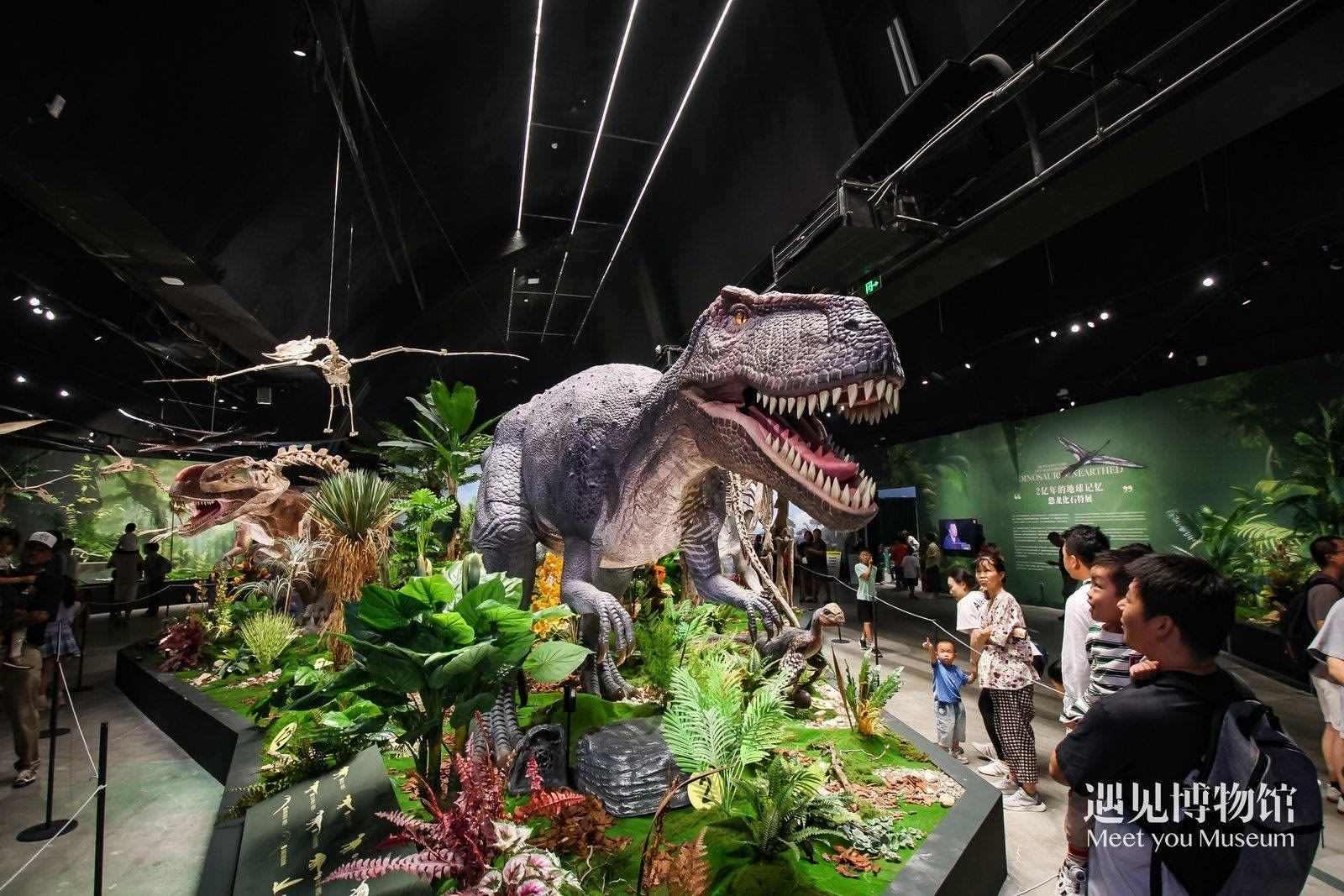 2. 游客參觀“2億年的地球記憶——恐龍化石特展”。遇見博物館供圖