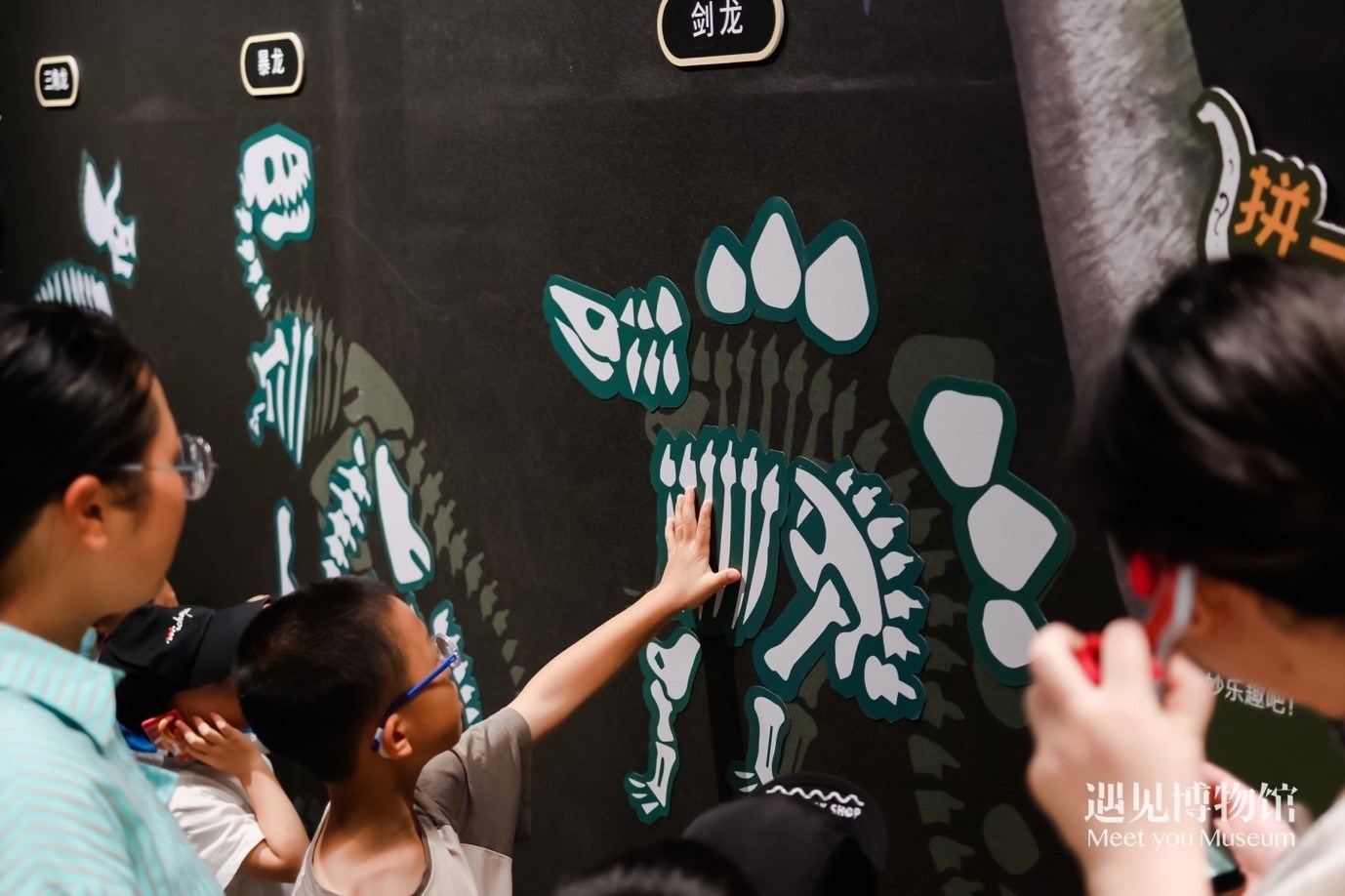 5. “2億年的地球記憶——恐龍化石特展”互動區(qū)域。遇見博物館供圖