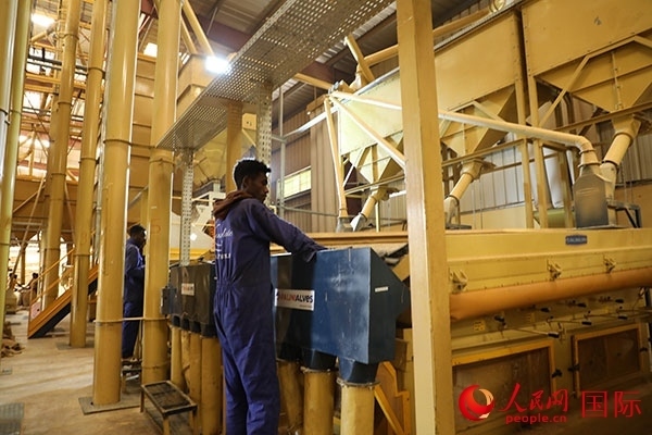 在Bule Hora咖啡加工廠里工作的當(dāng)?shù)毓と藗?。人民網(wǎng)記者 沈小曉攝