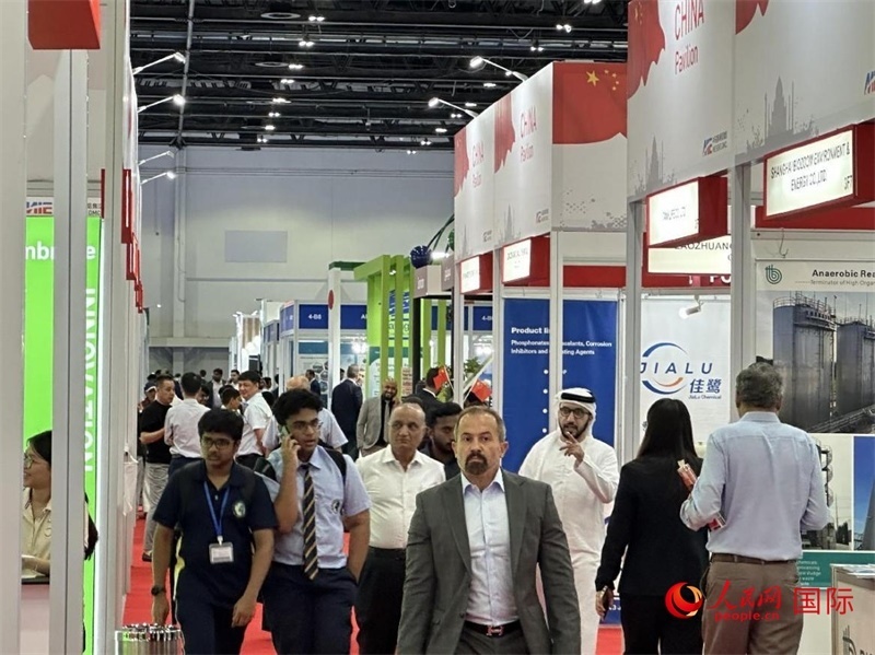 中國館一角。人民網(wǎng)記者管克江攝