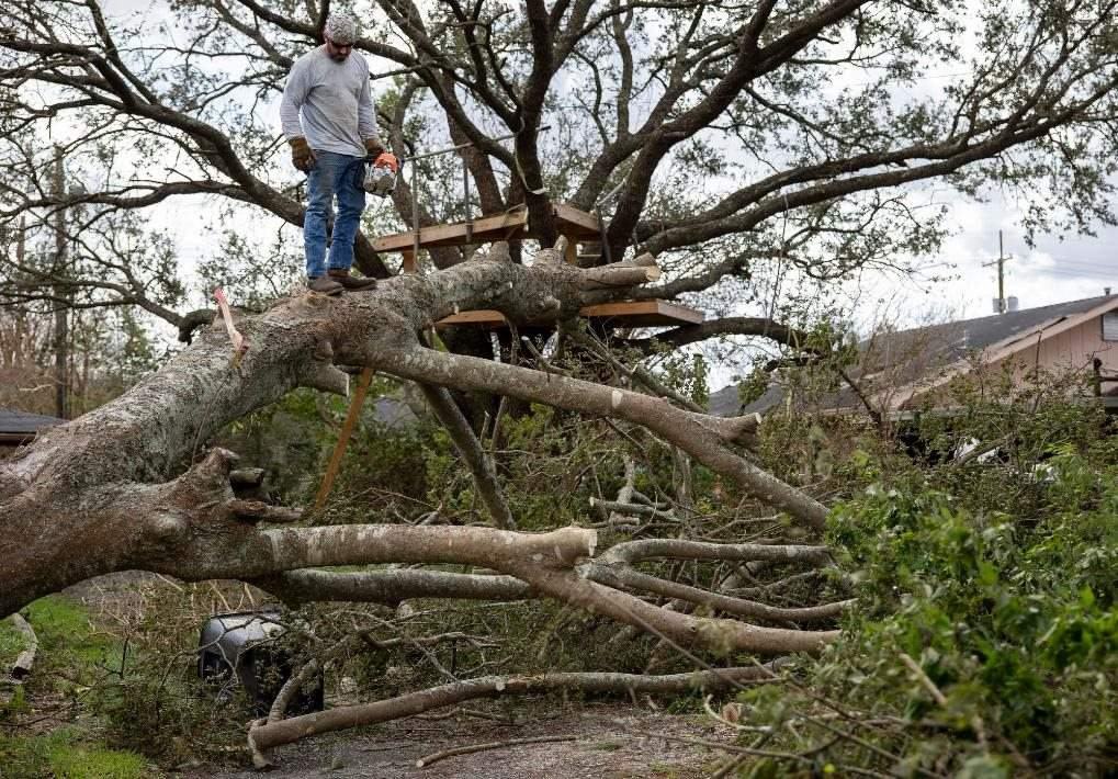 2021年8月30日，在美國路易斯安那州霍馬，一名男子站在被颶風(fēng)吹倒的大樹上。新華社發(fā)（尼克·瓦格納 攝）