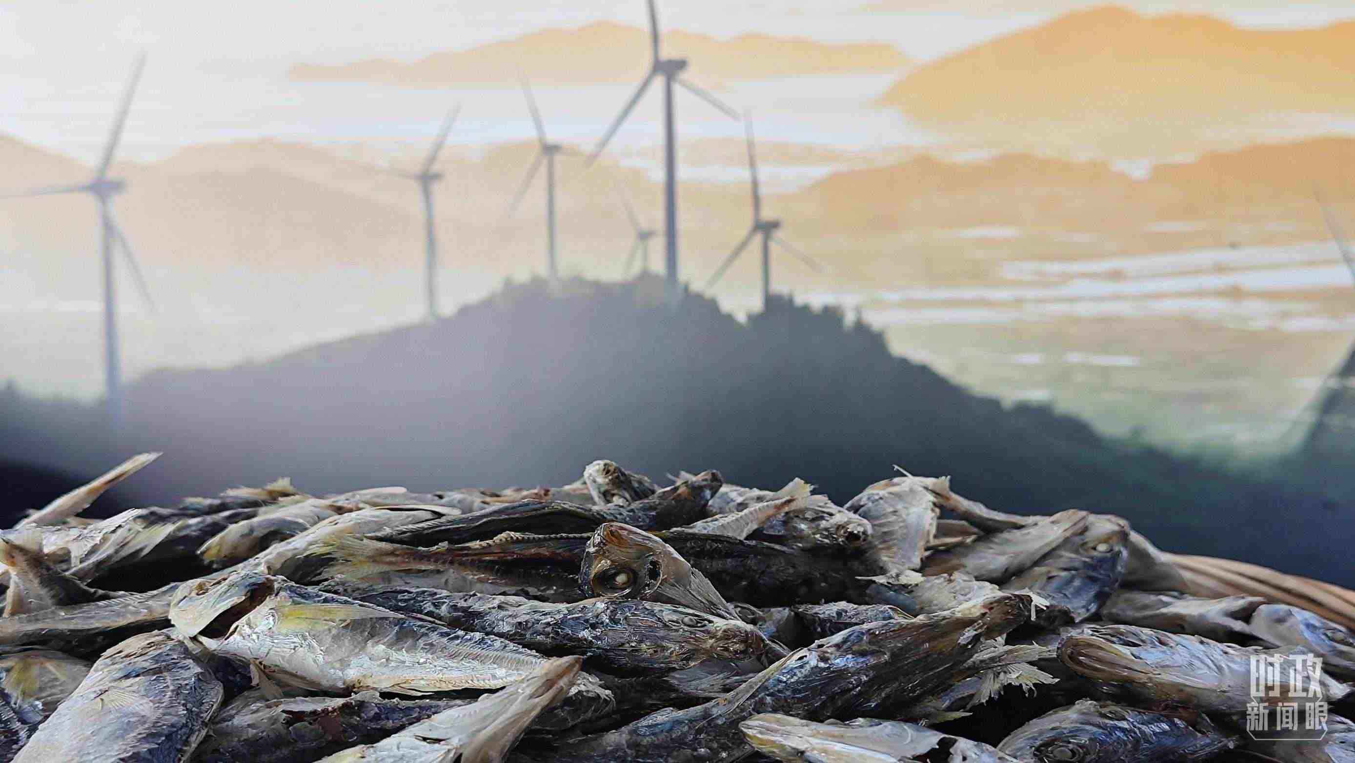 △澳角村的海產(chǎn)品。（總臺(tái)央視記者許永松拍攝）