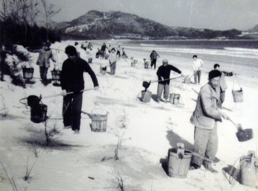 上世紀(jì)東山百姓在沙灘造林（資料照片）。