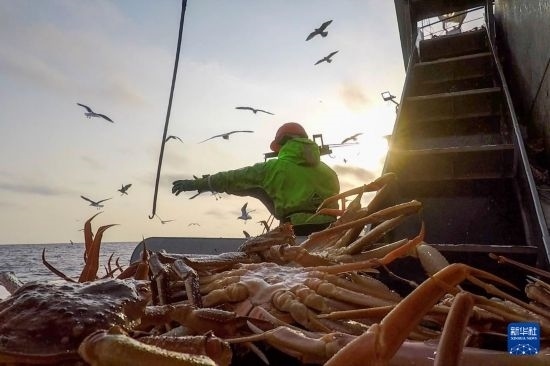 這是俄羅斯蟹業(yè)集團(tuán)工作人員進(jìn)行遠(yuǎn)洋捕撈的資料照片。新華社發(fā)（俄羅斯蟹業(yè)集團(tuán)供圖）