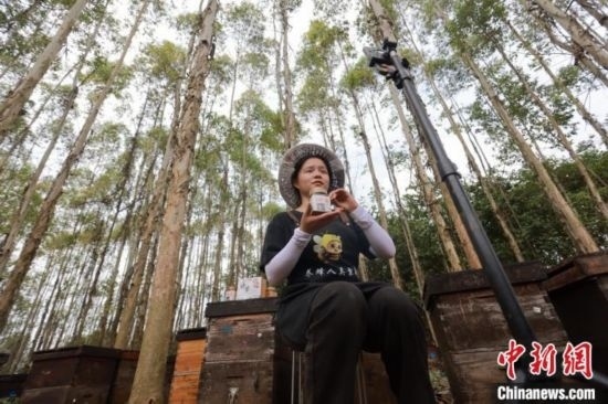 吳素英在網(wǎng)絡(luò)平臺直播介紹蜜蜂和養(yǎng)蜂情況。湯曉逵 攝