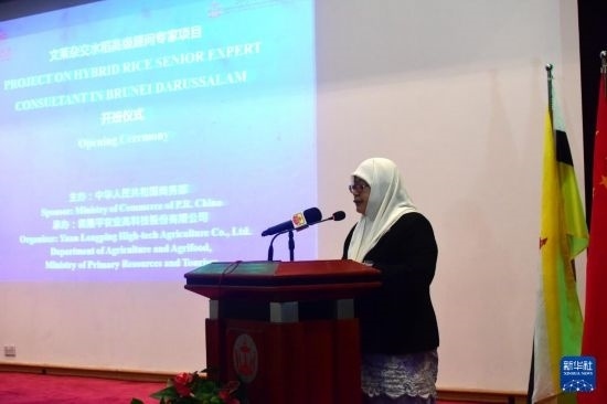 10月26日，文萊初級資源與旅游部常任秘書圖蒂亞蒂在斯里巴加灣市出席中國與文萊雜交水稻高級專家顧問項目啟動儀式。新華社記者 李萌 攝