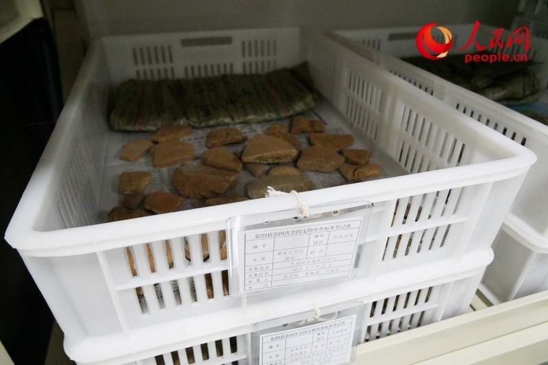 已經(jīng)整理完畢的文物標(biāo)本。人民網(wǎng)記者 韋衍行攝