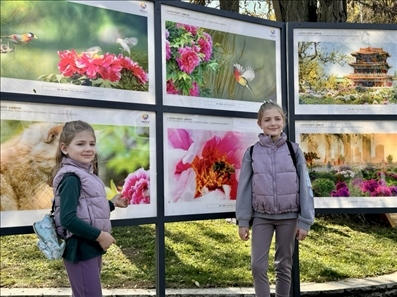 活動(dòng)現(xiàn)場(chǎng)。中國(guó)駐保加利亞大使館供圖。