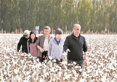 李召虎團(tuán)隊成員在棉田了解試驗情況。 受訪單位供圖