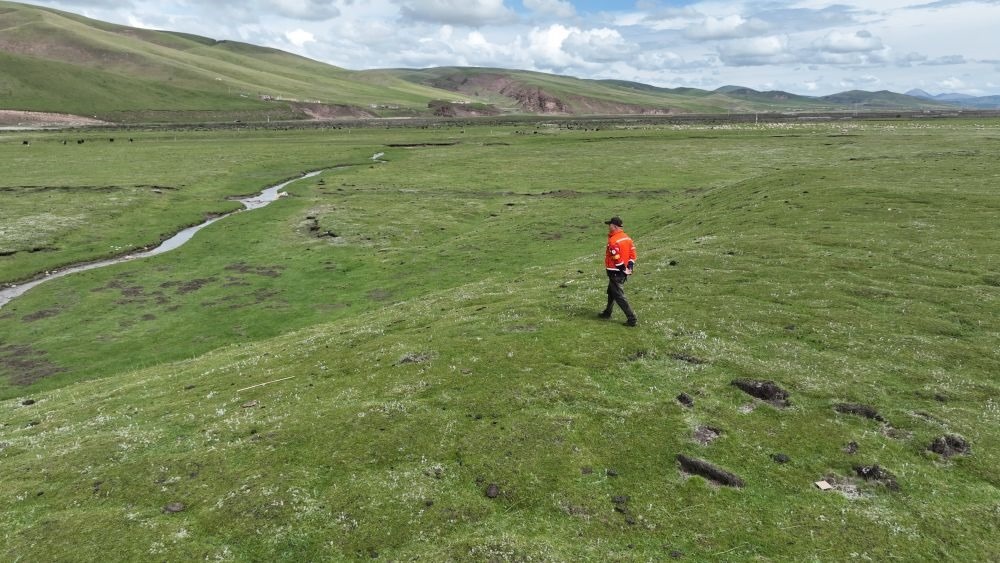 9月24日，生態(tài)管護(hù)員那瓦才郎在草場上巡護(hù)。（受訪者供圖）